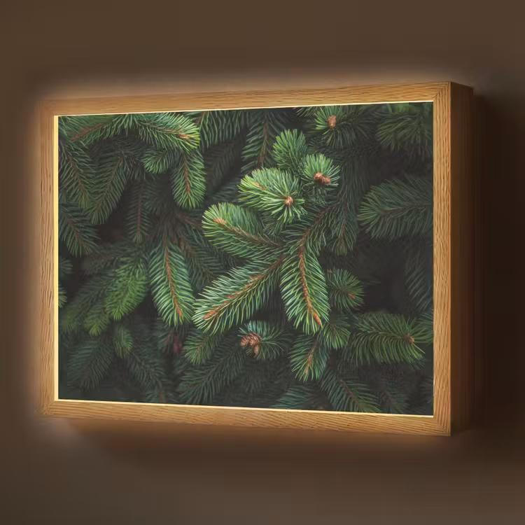 Lightbox - Wandlamp - Sparrentakken - Knoppen - Naalden - Groen — 1