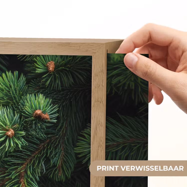 Lightbox - Wandlamp - Sparrentakken - Knoppen - Naalden - Groen — 5