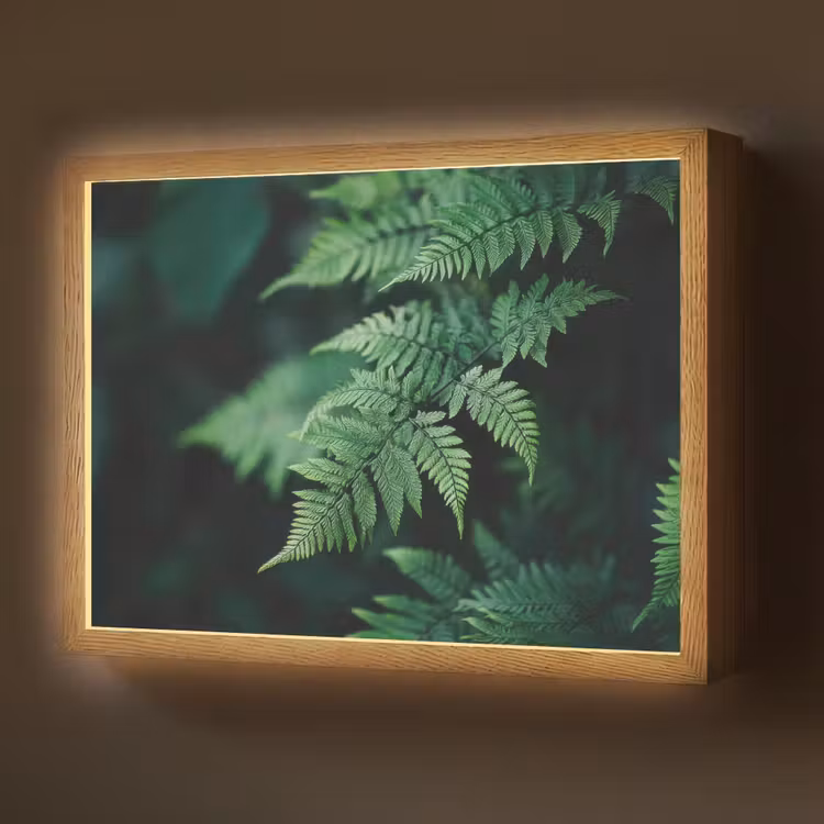 Lightbox - Wandlamp - Varenblad - Groen - Structuur - Wazig — 1