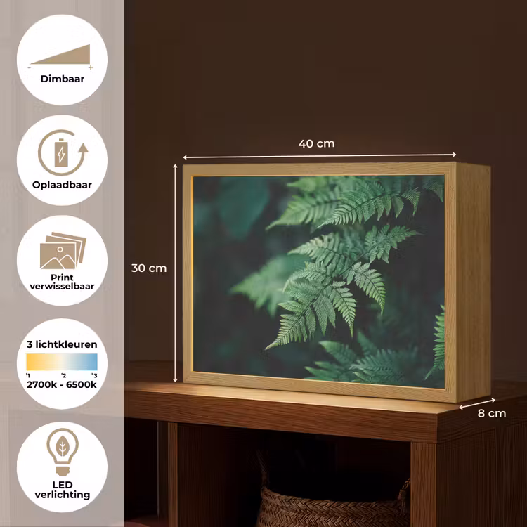 Lightbox - Wandlamp - Varenblad - Groen - Structuur - Wazig — 10