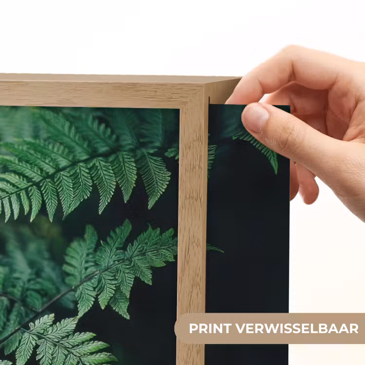 Lightbox - Wandlamp - Varenblad - Groen - Structuur - Wazig — 5