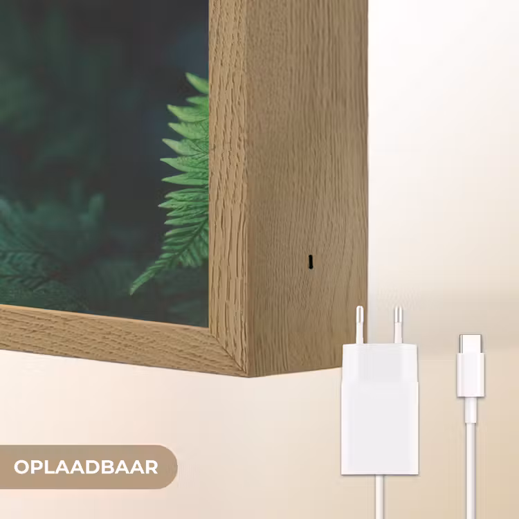 Lightbox - Wandlamp - Varenblad - Groen - Structuur - Wazig — 7