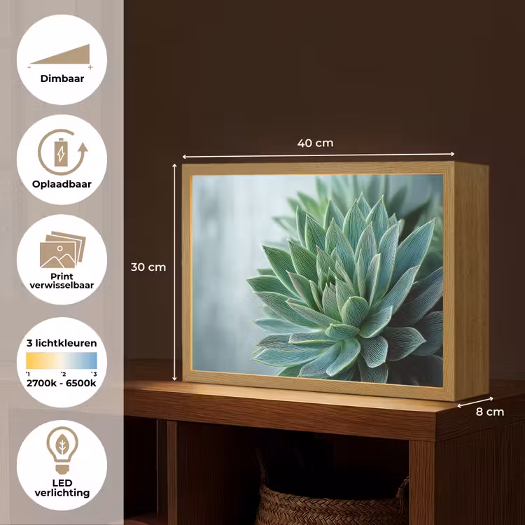 Lightbox - Wandlamp - Vetplant - Bladeren - Groen - Wazig — 10