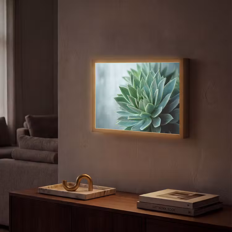 Lightbox - Wandlamp - Vetplant - Bladeren - Groen - Wazig — 2