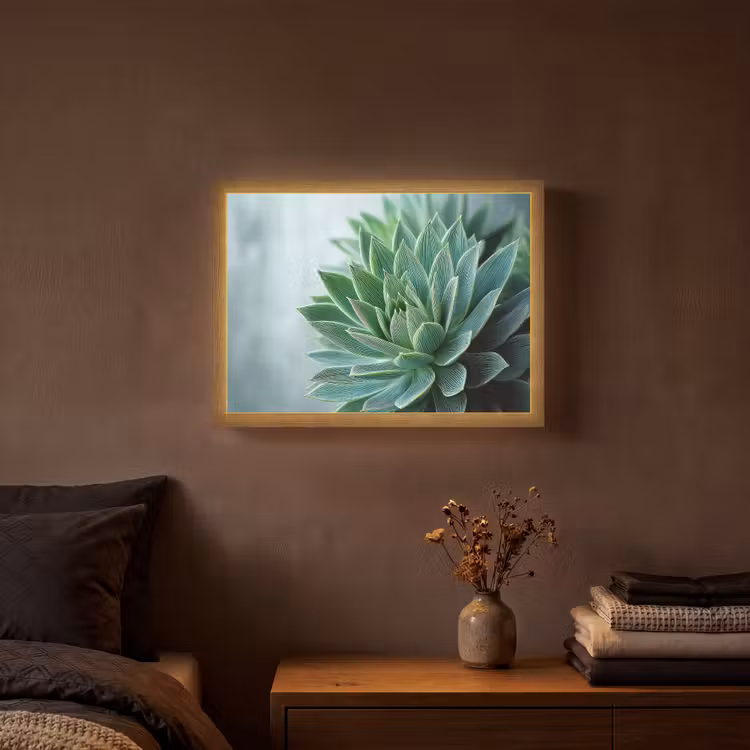 Lightbox - Wandlamp - Vetplant - Bladeren - Groen - Wazig — 3