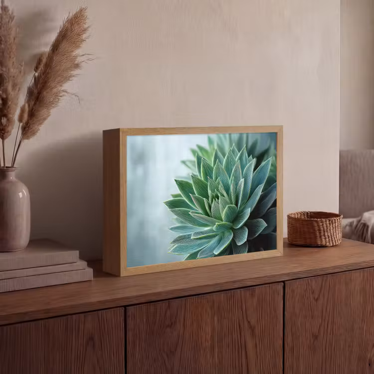 Lightbox - Wandlamp - Vetplant - Bladeren - Groen - Wazig — 4