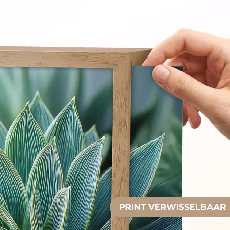 Lightbox - Wandlamp - Vetplant - Bladeren - Groen - Wazig — 5