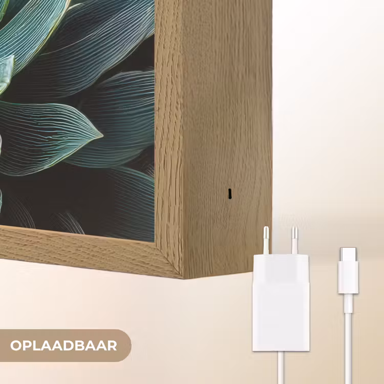 Lightbox - Wandlamp - Vetplant - Bladeren - Groen - Wazig — 7