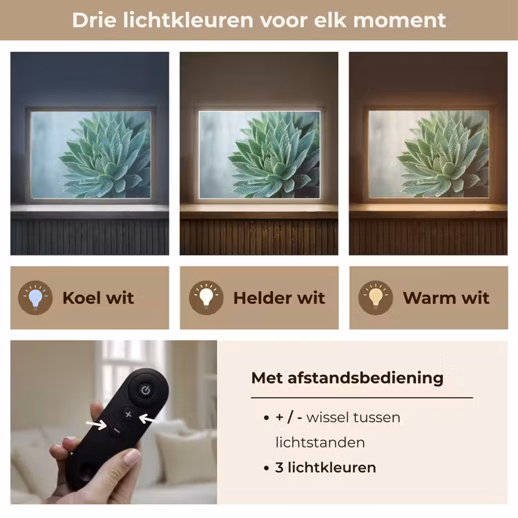 Lightbox - Wandlamp - Vetplant - Bladeren - Groen - Wazig — 8