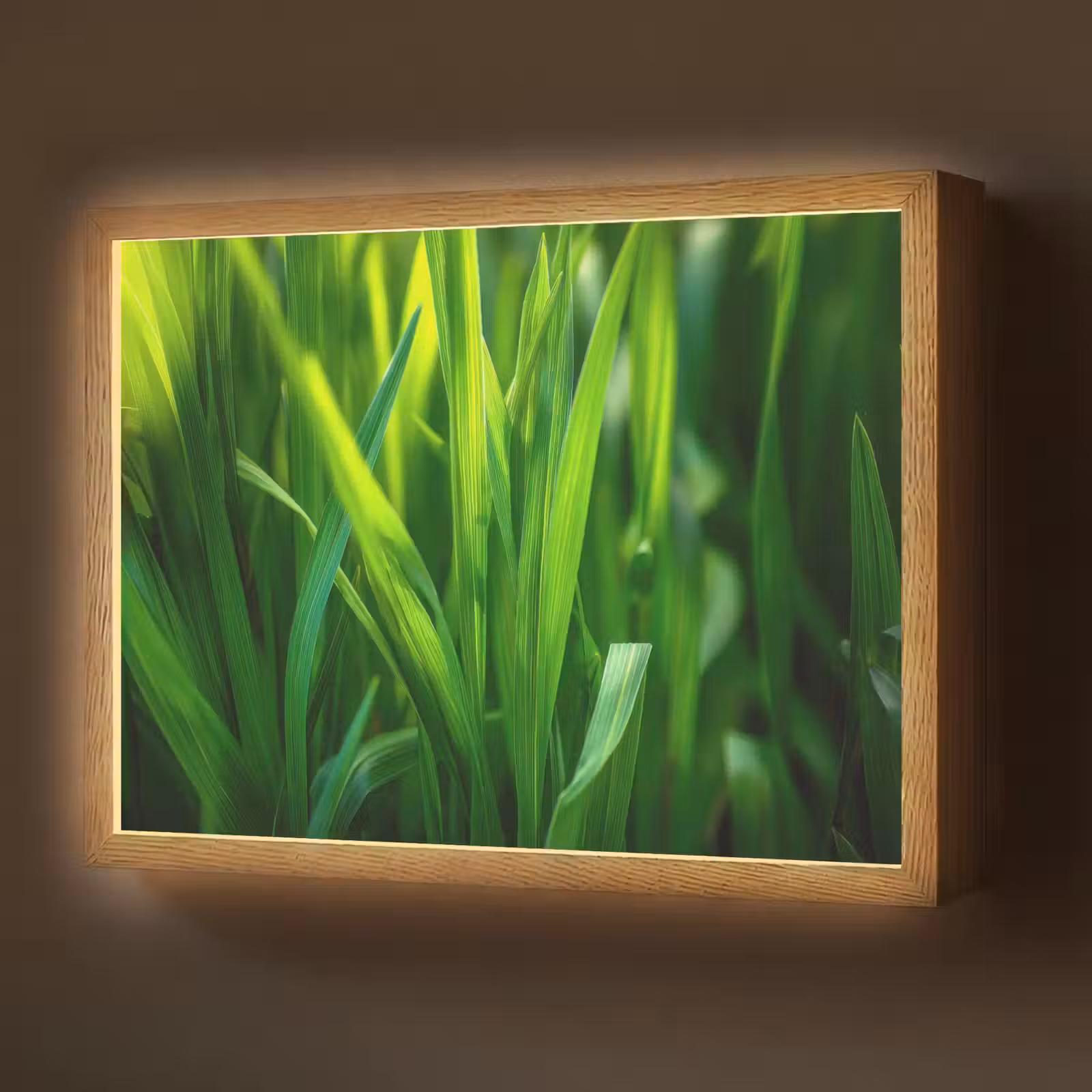 Lightbox - Wandlamp - Grassprieten - Lichtinval - Groen — 1
