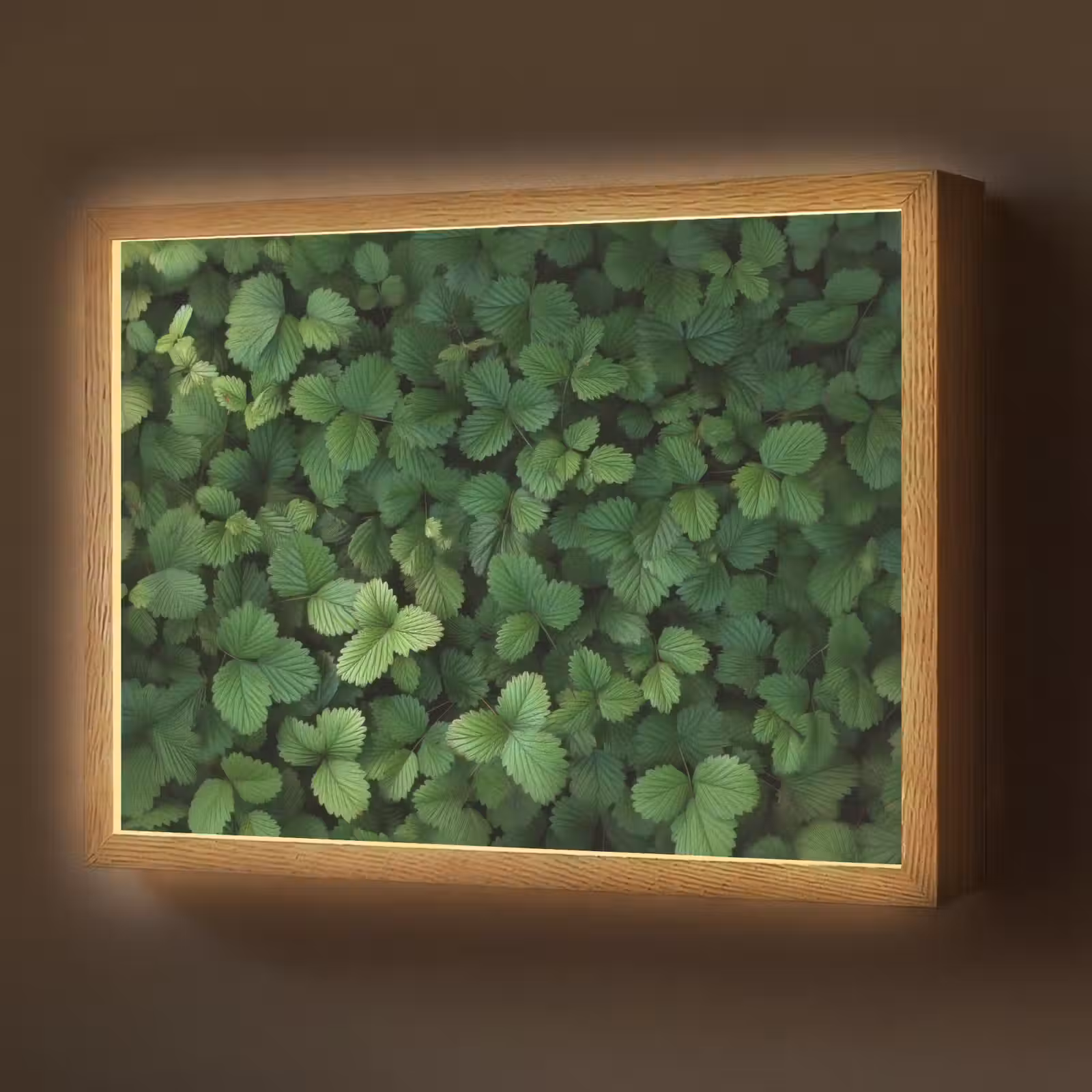 Lightbox - Wandlamp - Groen - Bladeren - Kartel - Zonlicht — 1