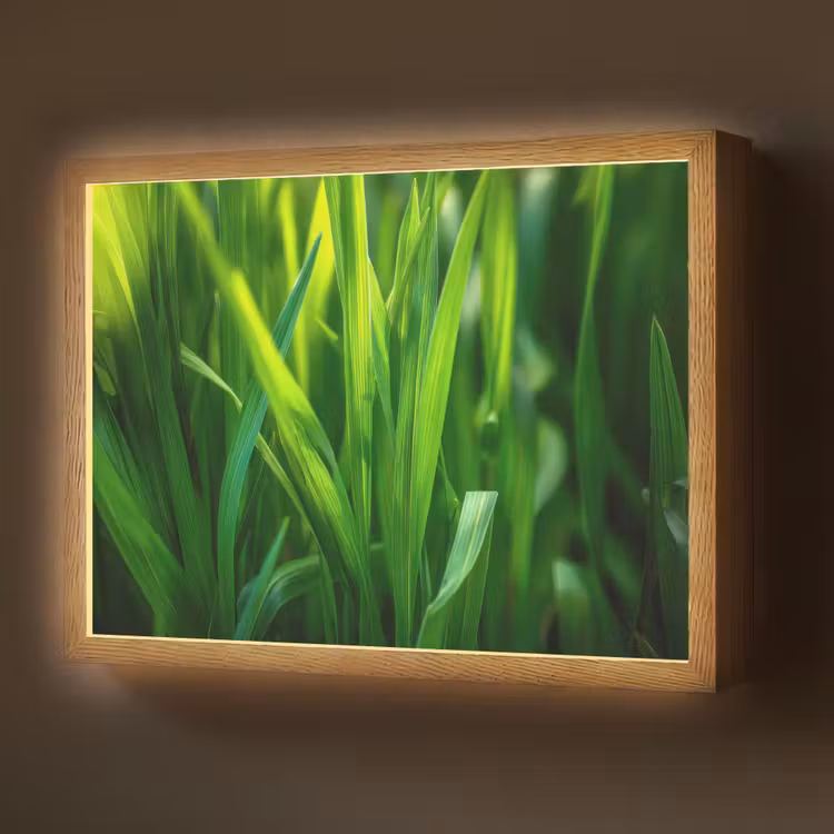 Lightbox - Wandlamp - Grassprieten - Lichtinval - Groen — 1