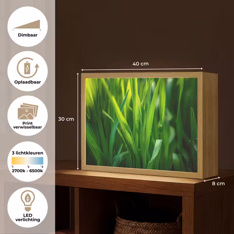Lightbox - Wandlamp - Grassprieten - Lichtinval - Groen — 10