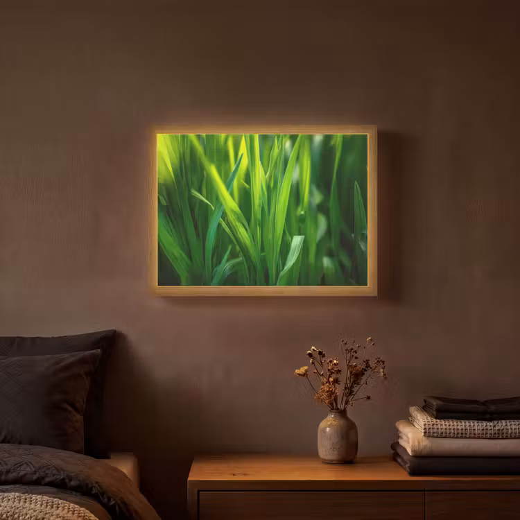 Lightbox - Wandlamp - Grassprieten - Lichtinval - Groen — 3