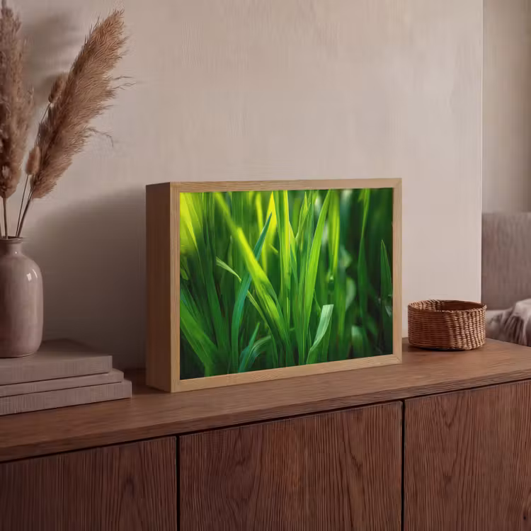 Lightbox - Wandlamp - Grassprieten - Lichtinval - Groen — 4