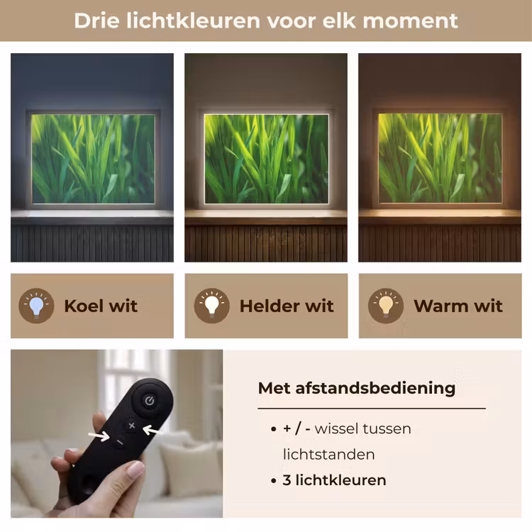 Lightbox - Wandlamp - Grassprieten - Lichtinval - Groen — 8
