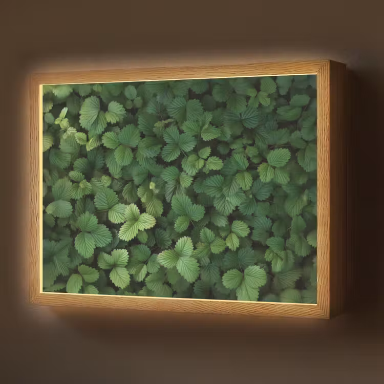 Lightbox - Wandlamp - Groen - Bladeren - Kartel - Zonlicht — 1