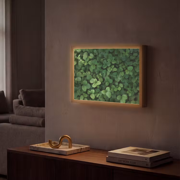 Lightbox - Wandlamp - Groen - Bladeren - Kartel - Zonlicht — 2