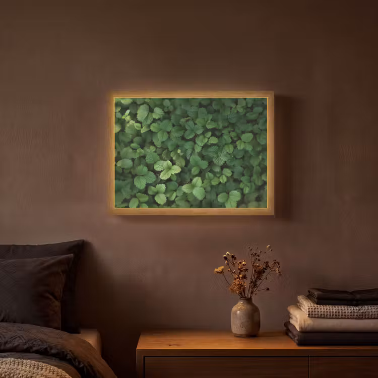 Lightbox - Wandlamp - Groen - Bladeren - Kartel - Zonlicht — 3