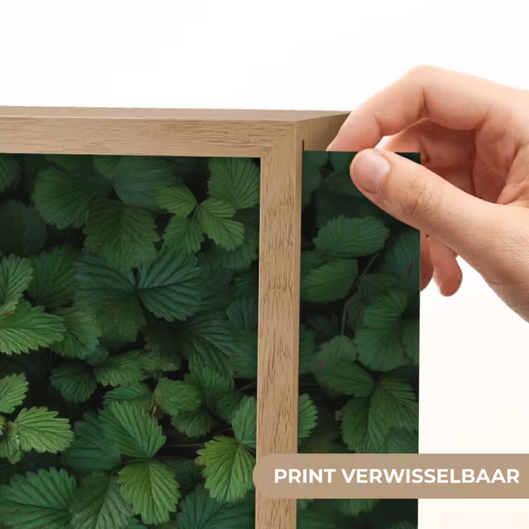 Lightbox - Wandlamp - Groen - Bladeren - Kartel - Zonlicht — 5