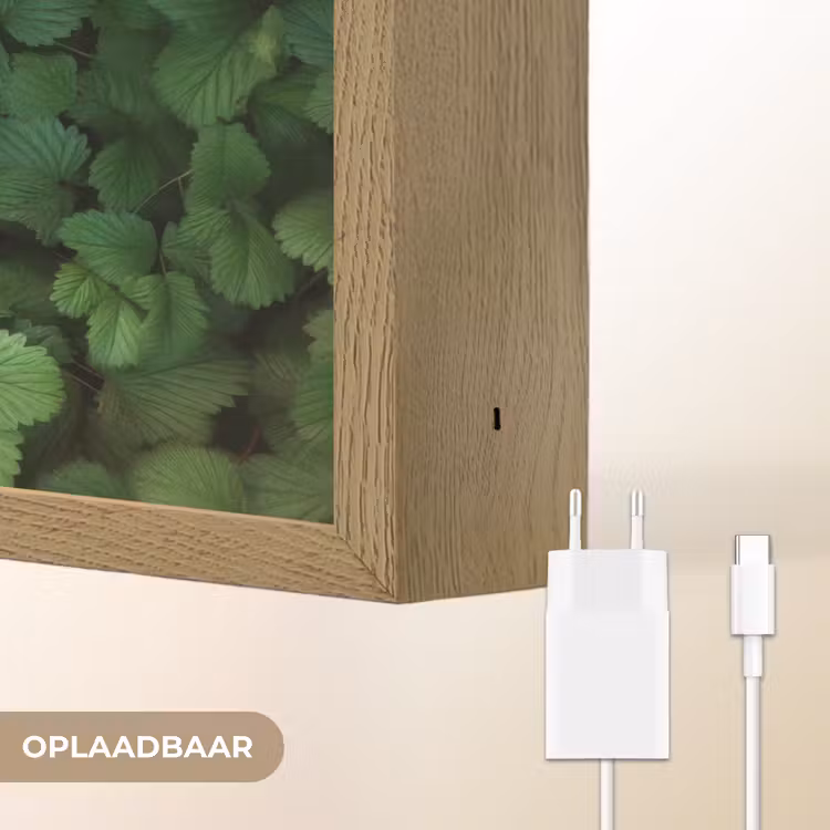 Lightbox - Wandlamp - Groen - Bladeren - Kartel - Zonlicht — 7