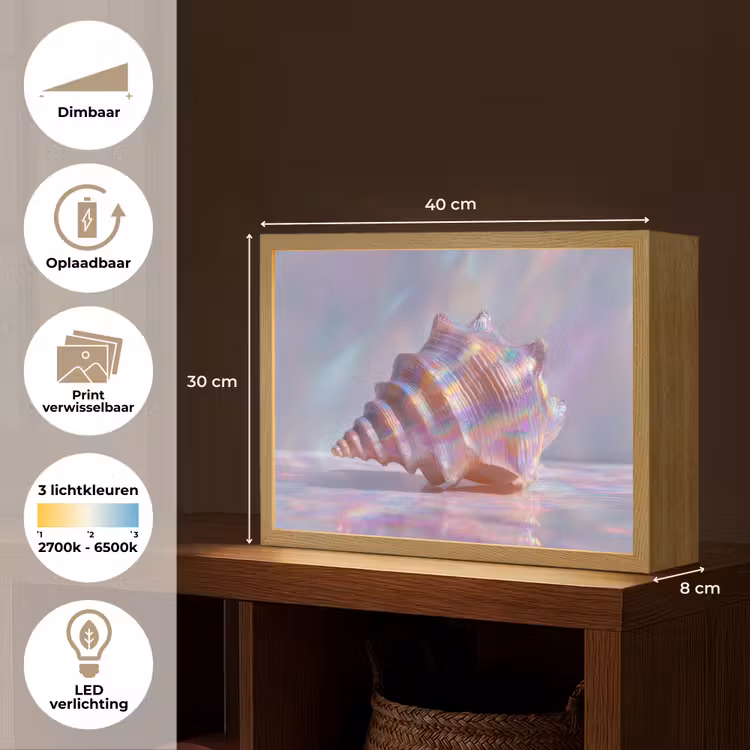 Lightbox - Wandlamp - Schelp - Glanzend - Regenboogtinten — 10