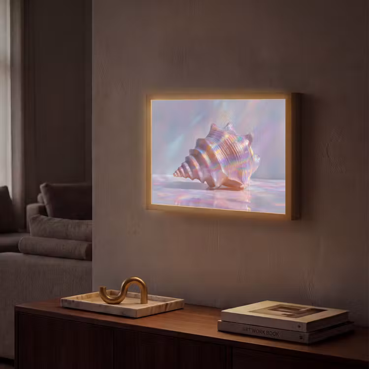 Lightbox - Wandlamp - Schelp - Glanzend - Regenboogtinten — 2