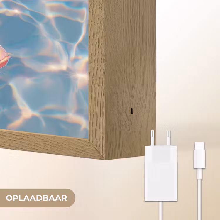 Lightbox - Wandlamp - Vis - Water - Blauw - Licht — 7