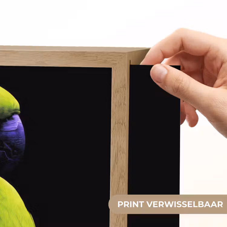 Lightbox - Wandlamp - Papegaai - Veren - Opvallend - Groen — 5