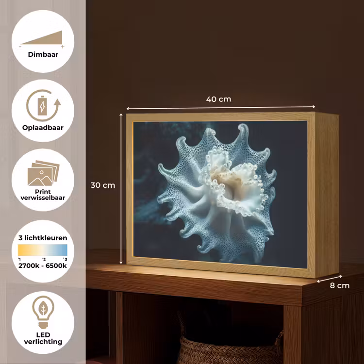 Lightbox - Wandlamp - Zeewezen - Wit - Golven - Water — 10