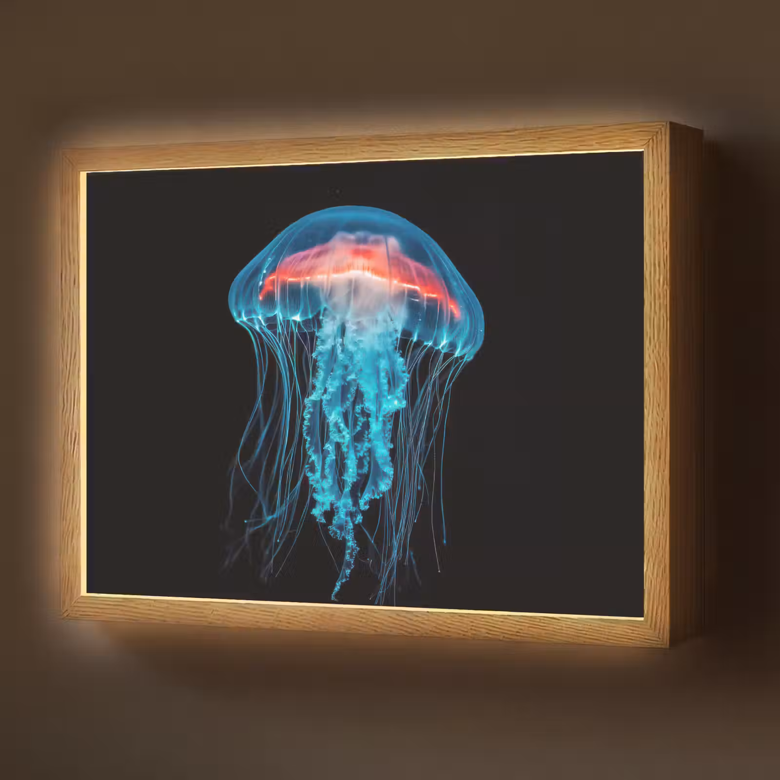 Lightbox - Wandlamp - Kwal - Tentakels - Blauw - Licht — 1