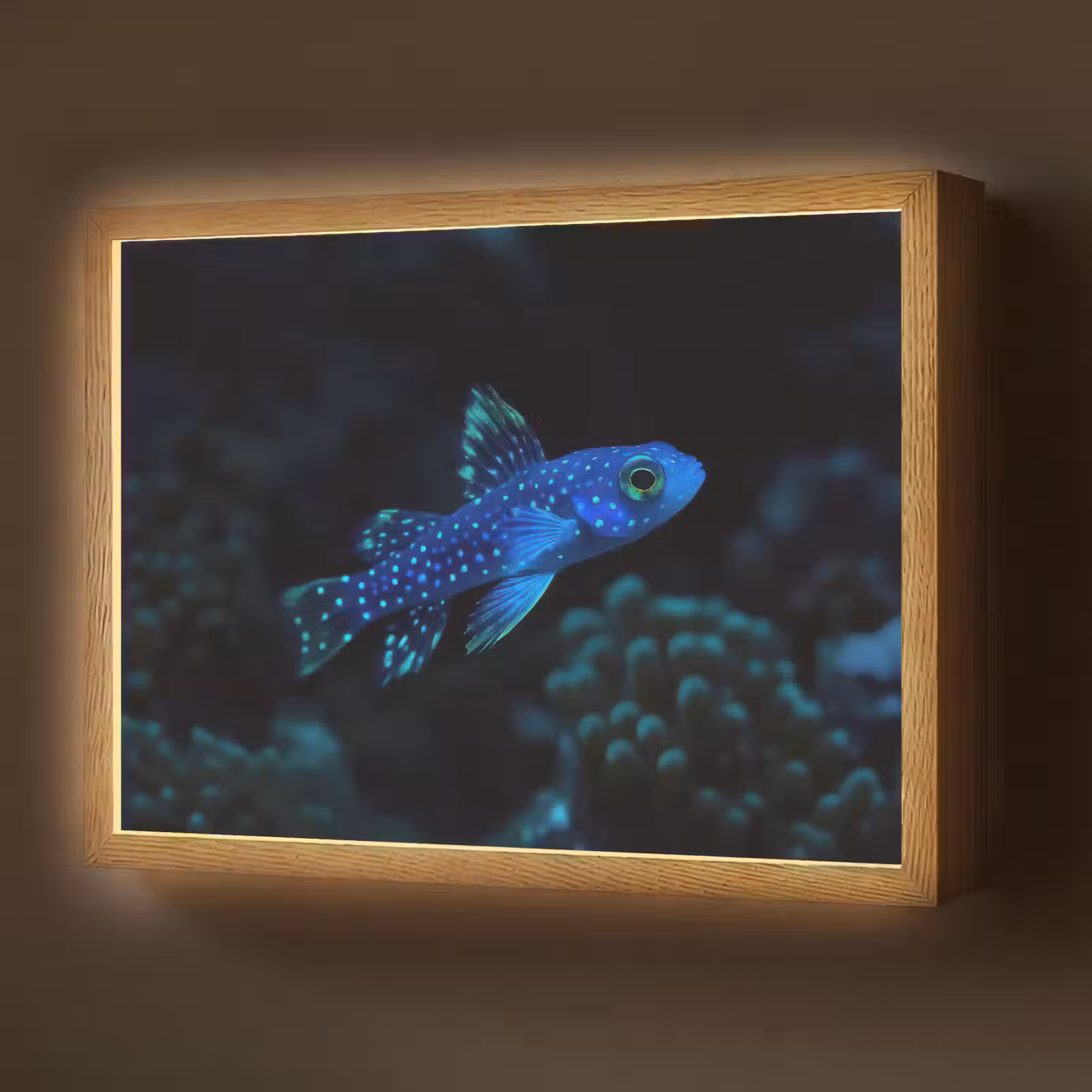Lightbox - Wandlamp - Vis - Stippen - Koraal - Blauw — 1