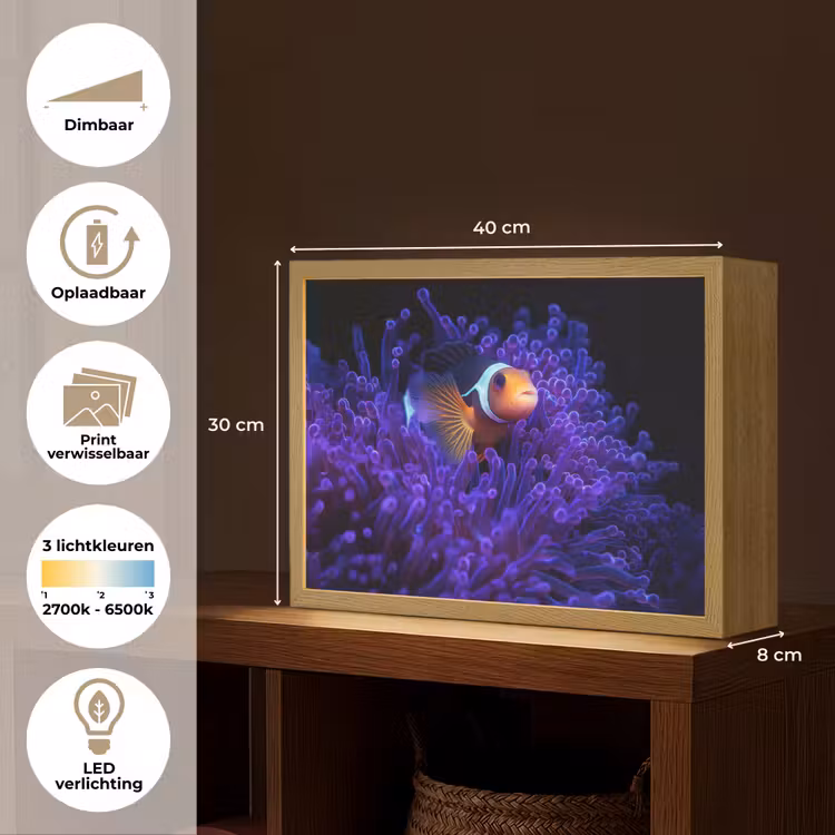 Lightbox - Wandlamp - Koraal - Vis - Oranje - Zee — 10