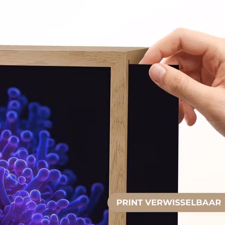 Lightbox - Wandlamp - Koraal - Vis - Oranje - Zee — 5