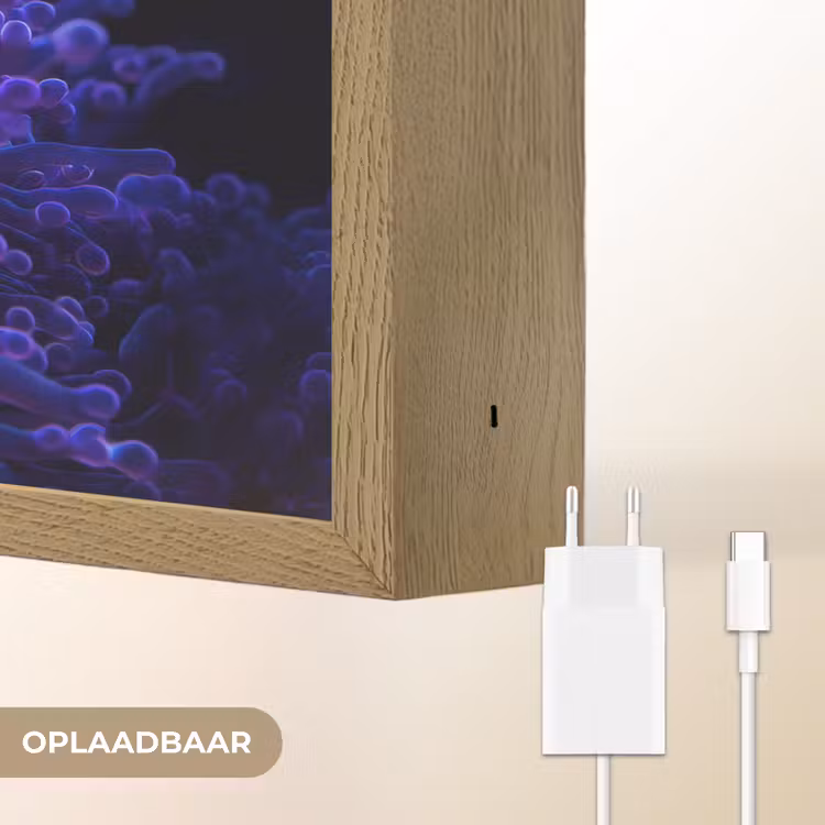 Lightbox - Wandlamp - Koraal - Vis - Oranje - Zee — 7