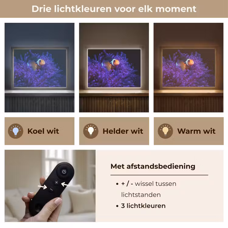 Lightbox - Wandlamp - Koraal - Vis - Oranje - Zee — 8