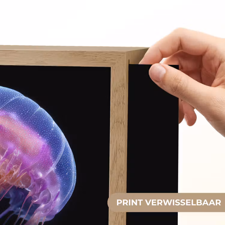 Lightbox - Wandlamp - Kwal - Doorzichtig - Roze - Tentakels — 5