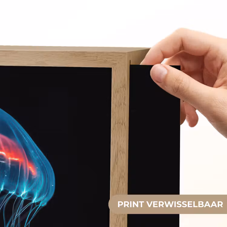 Lightbox - Wandlamp - Kwal - Tentakels - Blauw - Licht — 5