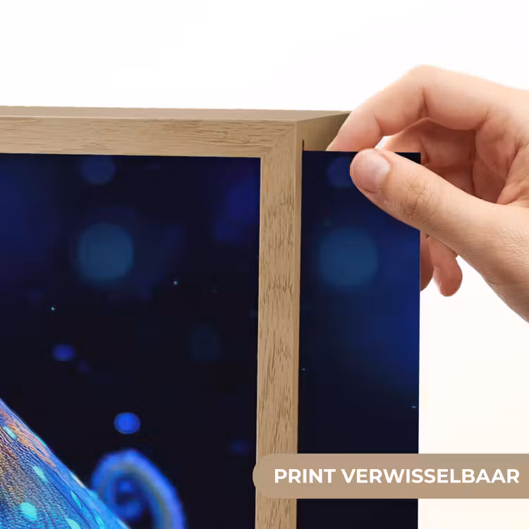 Lightbox - Wandlamp - Octopus - Stippen - Blauw - Zee — 5