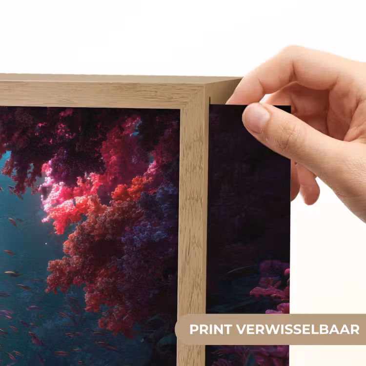 Lightbox - Wandlamp - Standbeeld - Zeebodem - Koraal - Kleurrijk — 5