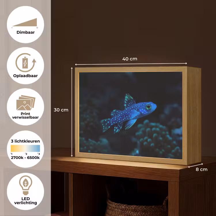 Lightbox - Wandlamp - Vis - Stippen - Koraal - Blauw — 10
