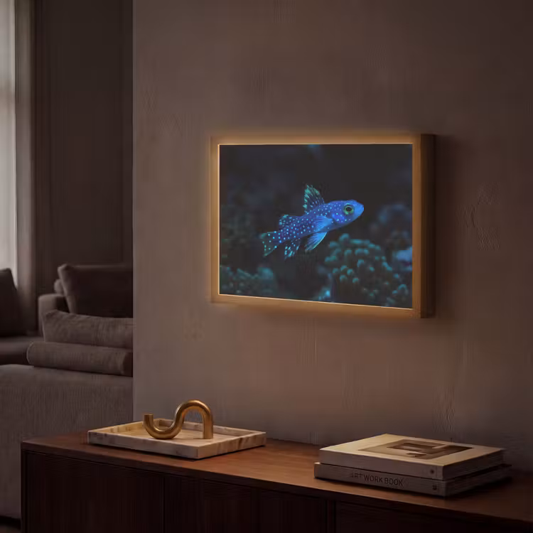 Lightbox - Wandlamp - Vis - Stippen - Koraal - Blauw — 2