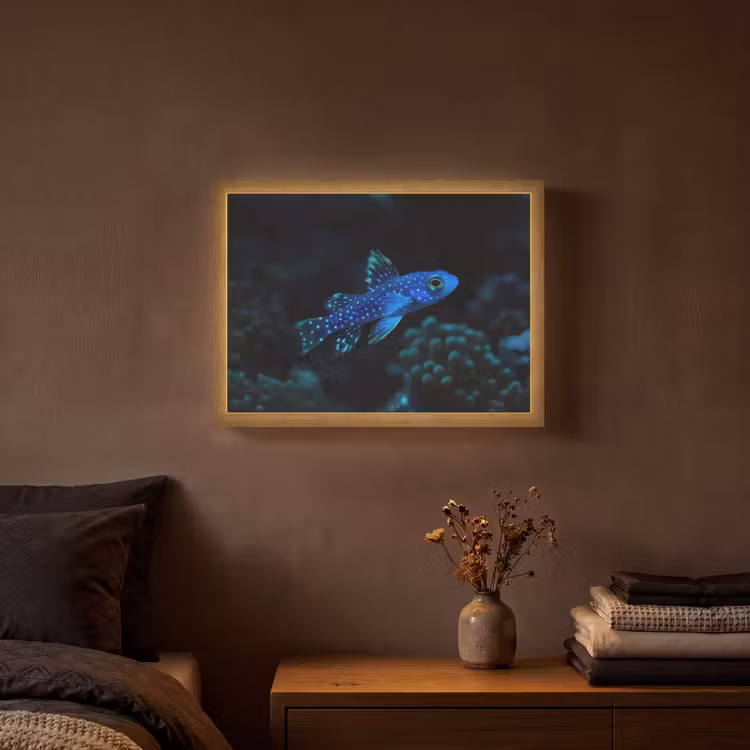 Lightbox - Wandlamp - Vis - Stippen - Koraal - Blauw — 3