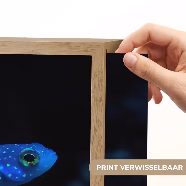 Lightbox - Wandlamp - Vis - Stippen - Koraal - Blauw — 5