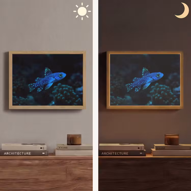 Lightbox - Wandlamp - Vis - Stippen - Koraal - Blauw — 6