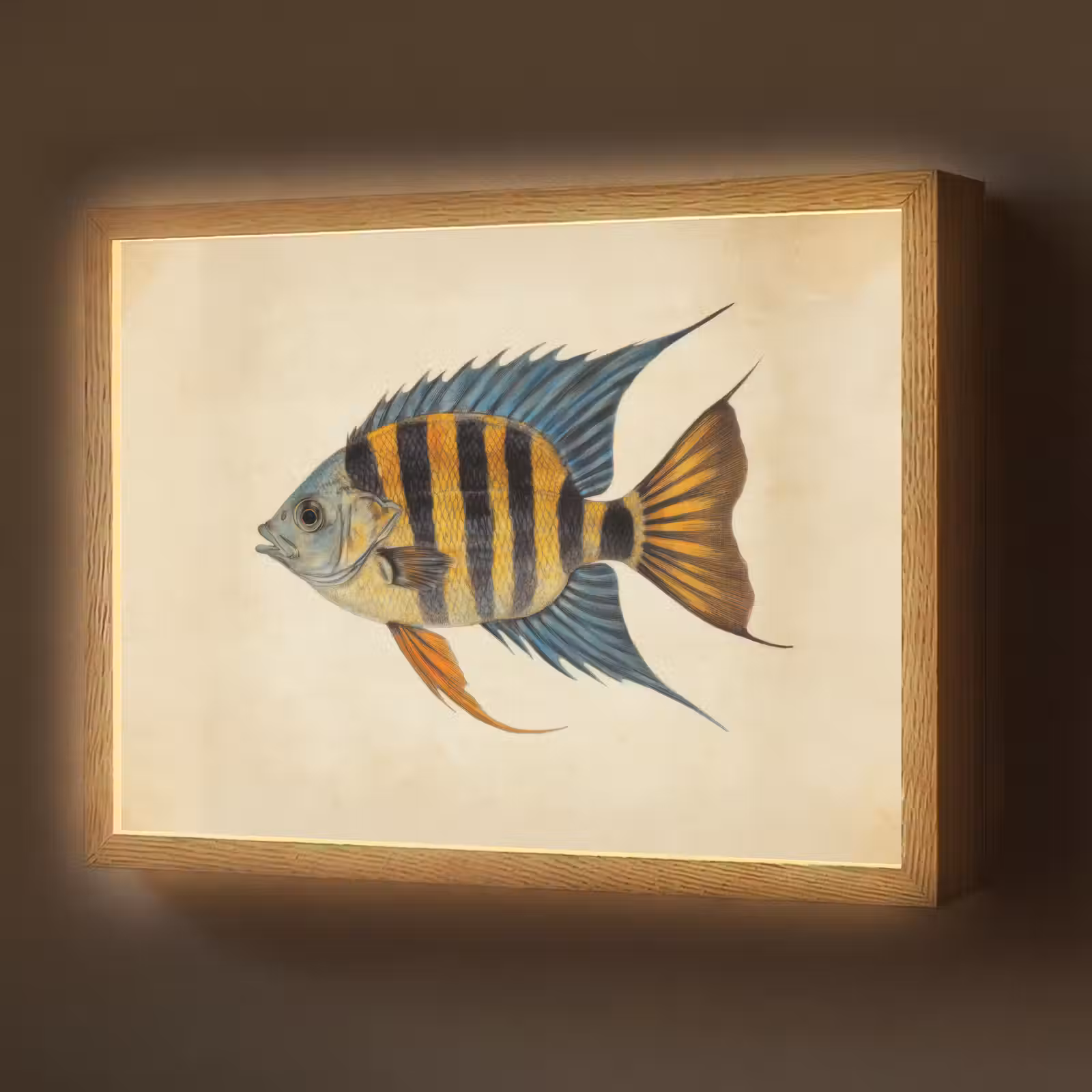 Lightbox - Wandlamp - Vis - Tropisch - Strepen - Vinnen — 1