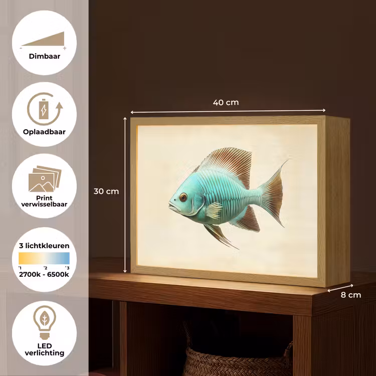 Lightbox - Wandlamp - Schubben - Vis - Mint - Minimalistisch — 10