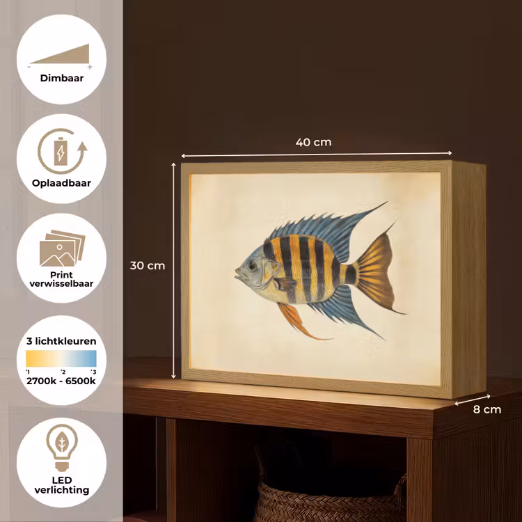 Lightbox - Wandlamp - Vis - Tropisch - Strepen - Vinnen — 10