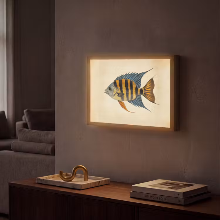 Lightbox - Wandlamp - Vis - Tropisch - Strepen - Vinnen — 2