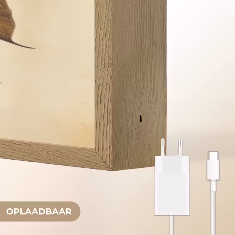 Lightbox - Wandlamp - Vis - Tropisch - Strepen - Vinnen — 7